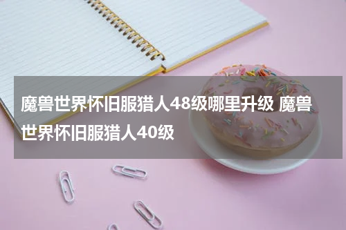 魔兽世界怀旧服猎人48级哪里升级 魔兽世界怀旧服猎人40级