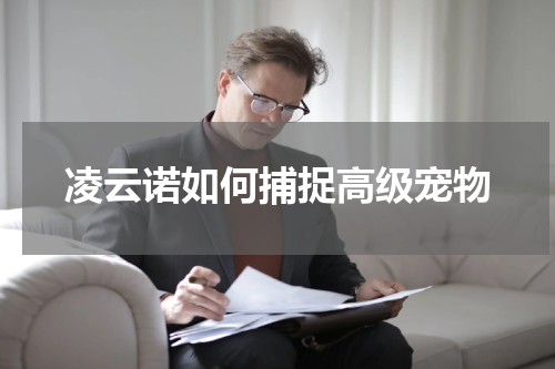 凌云诺如何捕捉高级宠物