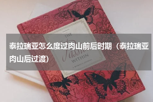 泰拉瑞亚怎么度过肉山前后时期(泰拉瑞亚肉山后过渡)