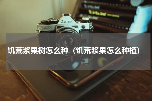 饥荒浆果树怎么种(饥荒浆果怎么种植)