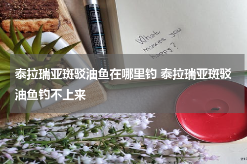 泰拉瑞亚斑驳油鱼在哪里钓 泰拉瑞亚斑驳油鱼钓不上来