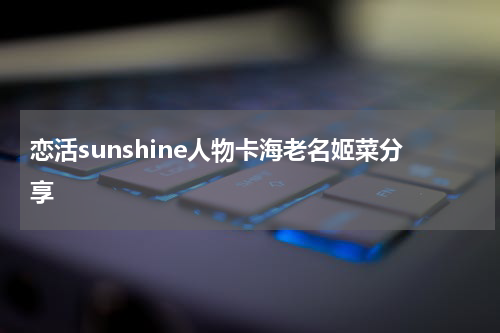恋活sunshine人物卡海老名姬菜分享
