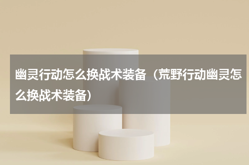 幽灵行动怎么换战术装备(荒野行动幽灵怎么换战术装备)