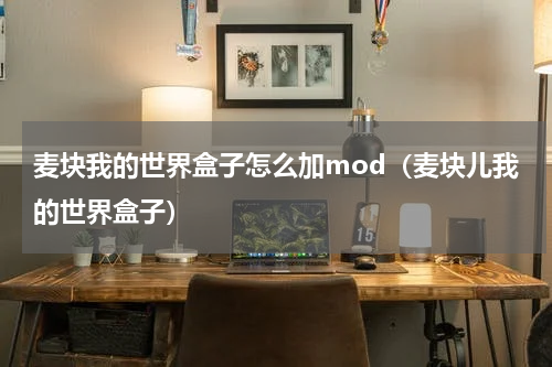 麦块我的世界盒子怎么加mod(麦块儿我的世界盒子)