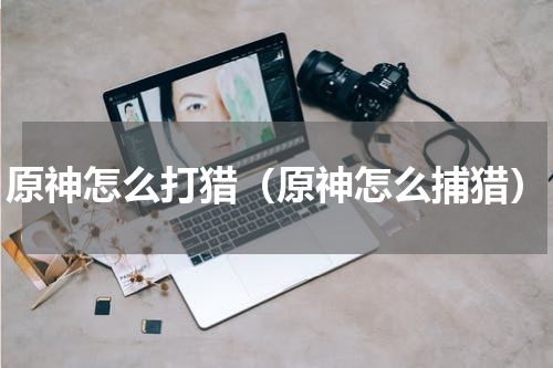 原神怎么打猎(原神怎么捕猎)