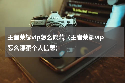 王者荣耀vip怎么隐藏（王者荣耀vip怎么隐藏个人信息）