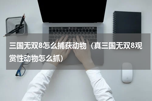 三国无双8怎么捕获动物（真三国无双8观赏性动物怎么抓）