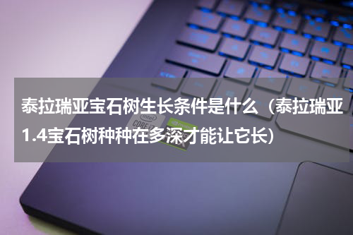 泰拉瑞亚宝石树生长条件是什么(泰拉瑞亚1.4宝石树种种在多深才能让它长)