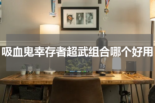 吸血鬼幸存者超武组合哪个好用