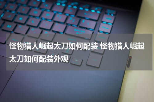 怪物猎人崛起太刀如何配装 怪物猎人崛起太刀如何配装外观