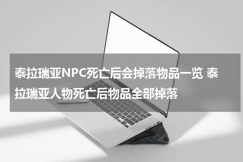 泰拉瑞亚NPC死亡后会掉落物品一览 泰拉瑞亚人物死亡后物品全部掉落