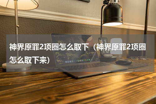 神界原罪2项圈怎么取下（神界原罪2项圈怎么取下来）