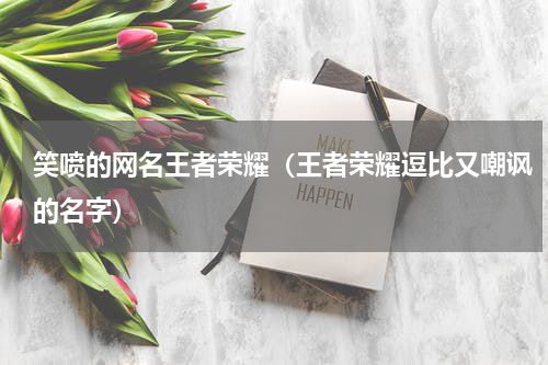 笑喷的网名王者荣耀（王者荣耀逗比又嘲讽的名字）