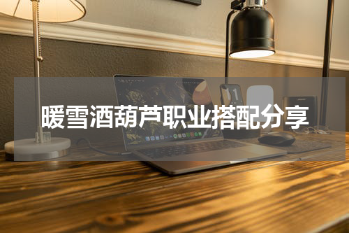 暖雪酒葫芦职业搭配分享