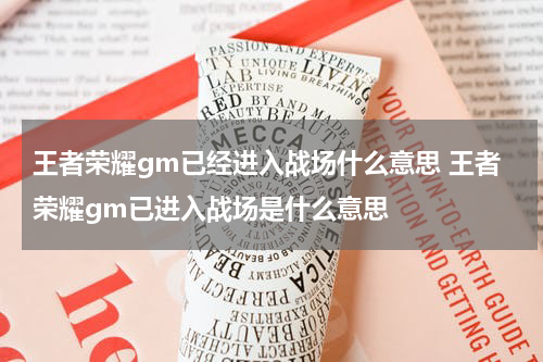 王者荣耀gm已经进入战场什么意思 王者荣耀gm已进入战场是什么意思