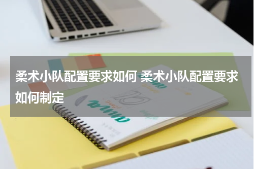 柔术小队配置要求如何 柔术小队配置要求如何制定