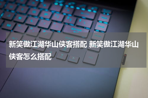 新笑傲江湖华山侠客搭配 新笑傲江湖华山侠客怎么搭配
