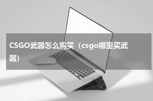 CSGO武器怎么购买（csgo哪里买武器）