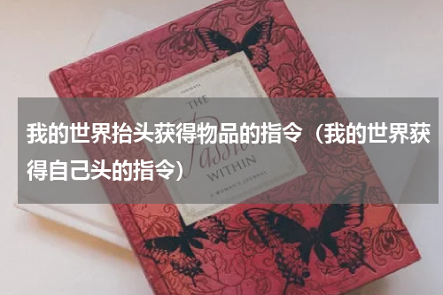 我的世界抬头获得物品的指令（我的世界获得自己头的指令）