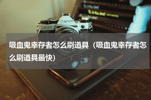 吸血鬼幸存者怎么刷道具（吸血鬼幸存者怎么刷道具最快）