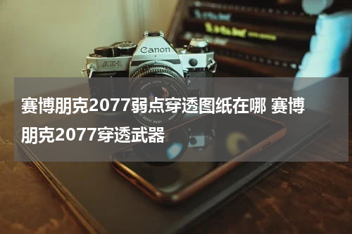 赛博朋克2077弱点穿透图纸在哪 赛博朋克2077穿透武器