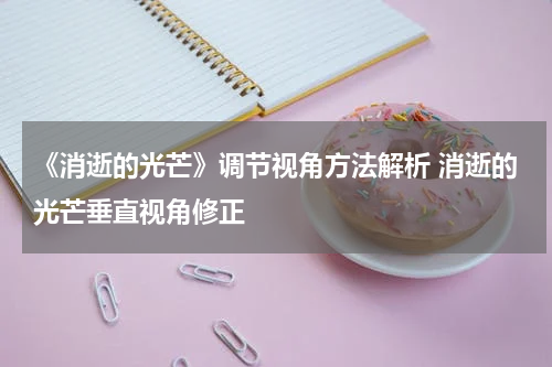 《消逝的光芒》调节视角方法解析 消逝的光芒垂直视角修正