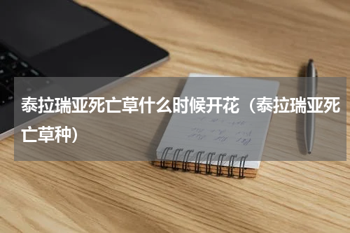 泰拉瑞亚死亡草什么时候开花（泰拉瑞亚死亡草种）