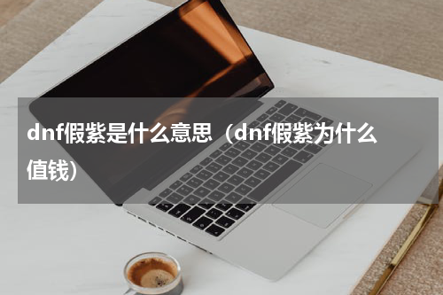 dnf假紫是什么意思（dnf假紫为什么值钱）