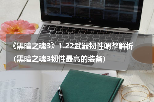 《黑暗之魂3》1.22武器韧性调整解析（黑暗之魂3韧性最高的装备）