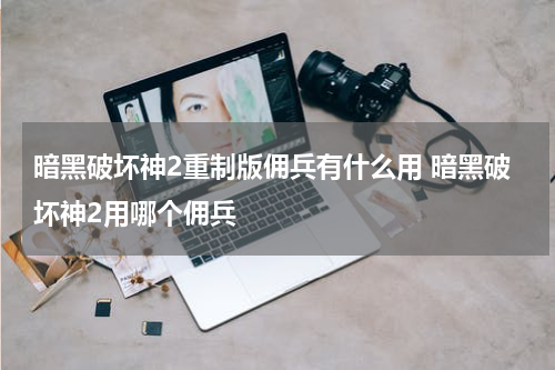 暗黑破坏神2重制版佣兵有什么用 暗黑破坏神2用哪个佣兵