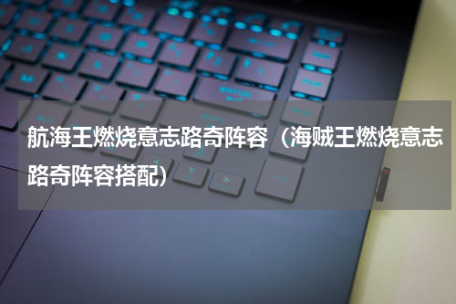 航海王燃烧意志路奇阵容（海贼王燃烧意志路奇阵容搭配）