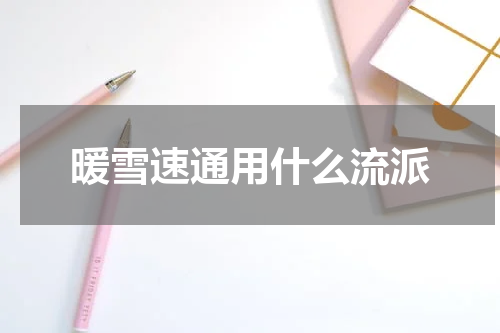 暖雪速通用什么流派