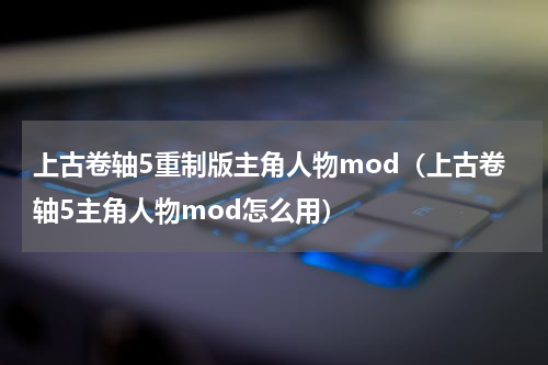 上古卷轴5重制版主角人物mod（上古卷轴5主角人物mod怎么用）