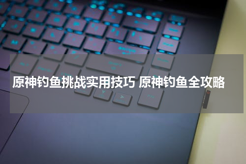 原神钓鱼挑战实用技巧 原神钓鱼全攻略
