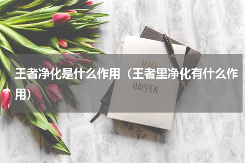 王者净化是什么作用（王者里净化有什么作用）