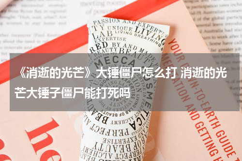 《消逝的光芒》大锤僵尸怎么打 消逝的光芒大锤子僵尸能打死吗