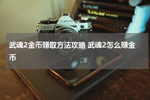 武魂2金币赚取方法攻略 武魂2怎么赚金币