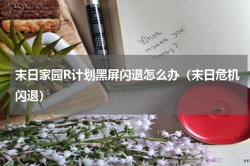 末日家园R计划黑屏闪退怎么办（末日危机闪退）