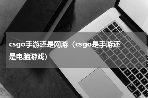 csgo手游还是网游（csgo是手游还是电脑游戏）