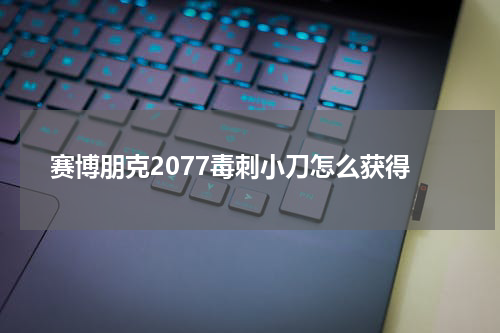 赛博朋克2077毒刺小刀怎么获得