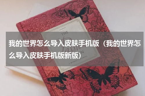 我的世界怎么导入皮肤手机版（我的世界怎么导入皮肤手机版新版）