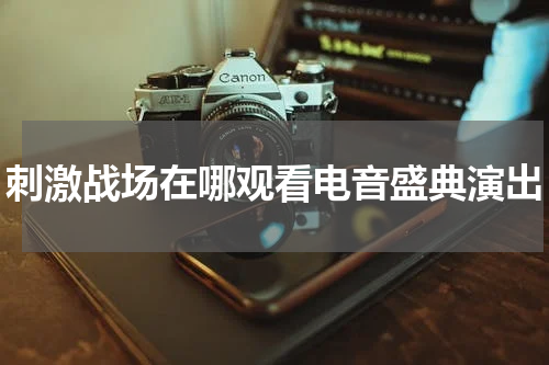 刺激战场在哪观看电音盛典演出