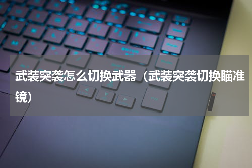 武装突袭怎么切换武器（武装突袭切换瞄准镜）