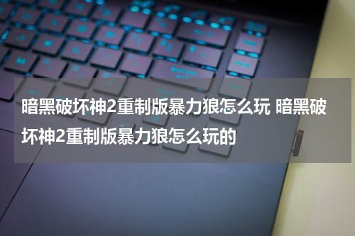 暗黑破坏神2重制版暴力狼怎么玩 暗黑破坏神2重制版暴力狼怎么玩的