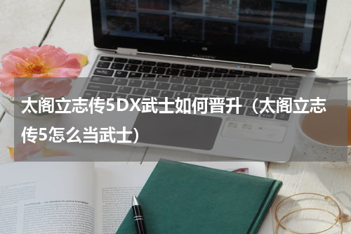 太阁立志传5DX武士如何晋升(太阁立志传5怎么当武士)