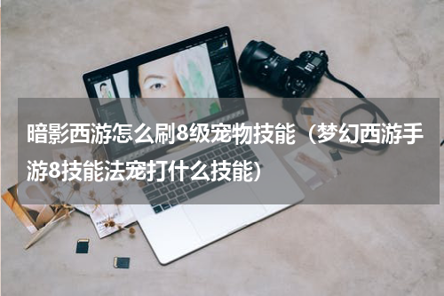 暗影西游怎么刷8级宠物技能（梦幻西游手游8技能法宠打什么技能）