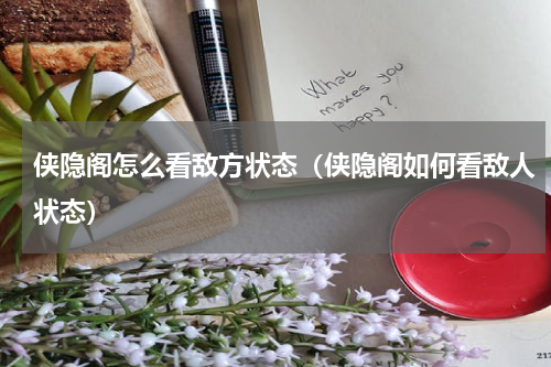 侠隐阁怎么看敌方状态(侠隐阁如何看敌人状态)