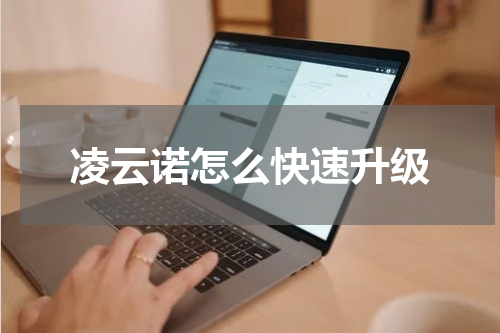 凌云诺怎么快速升级