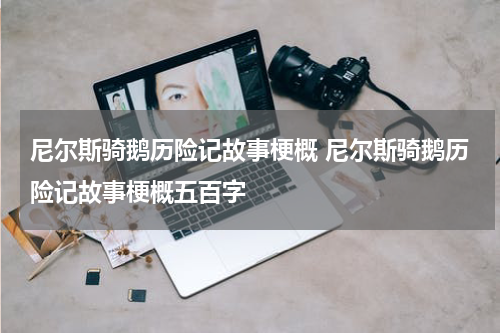 尼尔斯骑鹅历险记故事梗概 尼尔斯骑鹅历险记故事梗概五百字